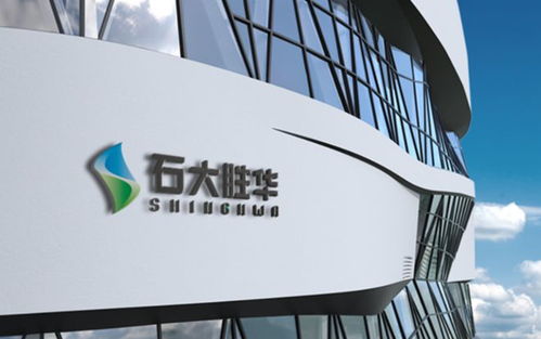 石大勝華戰略布局深化 5億資本落子眉山新材料公司