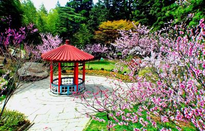 廬山景區(qū)今日起恢復(fù)開(kāi)放!疫情期間游覽這些事要清楚!