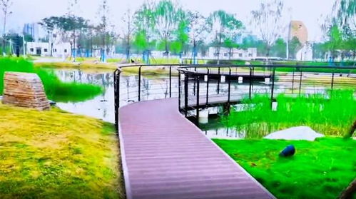 游覽武漢城區(qū)一座魚(yú)主題公園 面積超10個(gè)球場(chǎng),地下還有巨型工廠(chǎng)