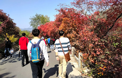 金秋時節(jié),紅葉谷游覽必須關(guān)注的幾個點!