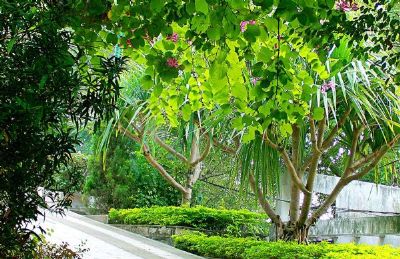 秀美福建,景點(diǎn)推薦