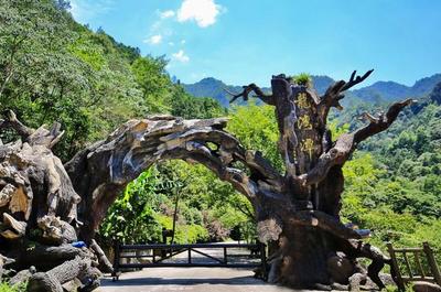 魔鬼秋千爆紅全網(wǎng) 浙旅集團(tuán)深度體驗(yàn)旅游產(chǎn)品成效凸顯，景區(qū)管理再升級(jí)